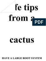 Advice From a Cactus