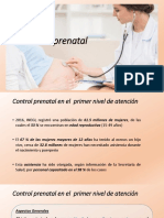 Control Prenatal pdf