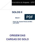 Cargas elétricas do solo: origem e influência no pH