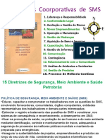 Apresentação 15 Diretrizes SMS Petrobrás - PowerPoint 97.2003