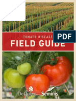 Tomato Disease Guide