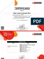 Certificado Del Curso Prevencin Ante Riesgos Laborales