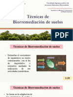 Clase 9 - Tecnicas de Biorremediación