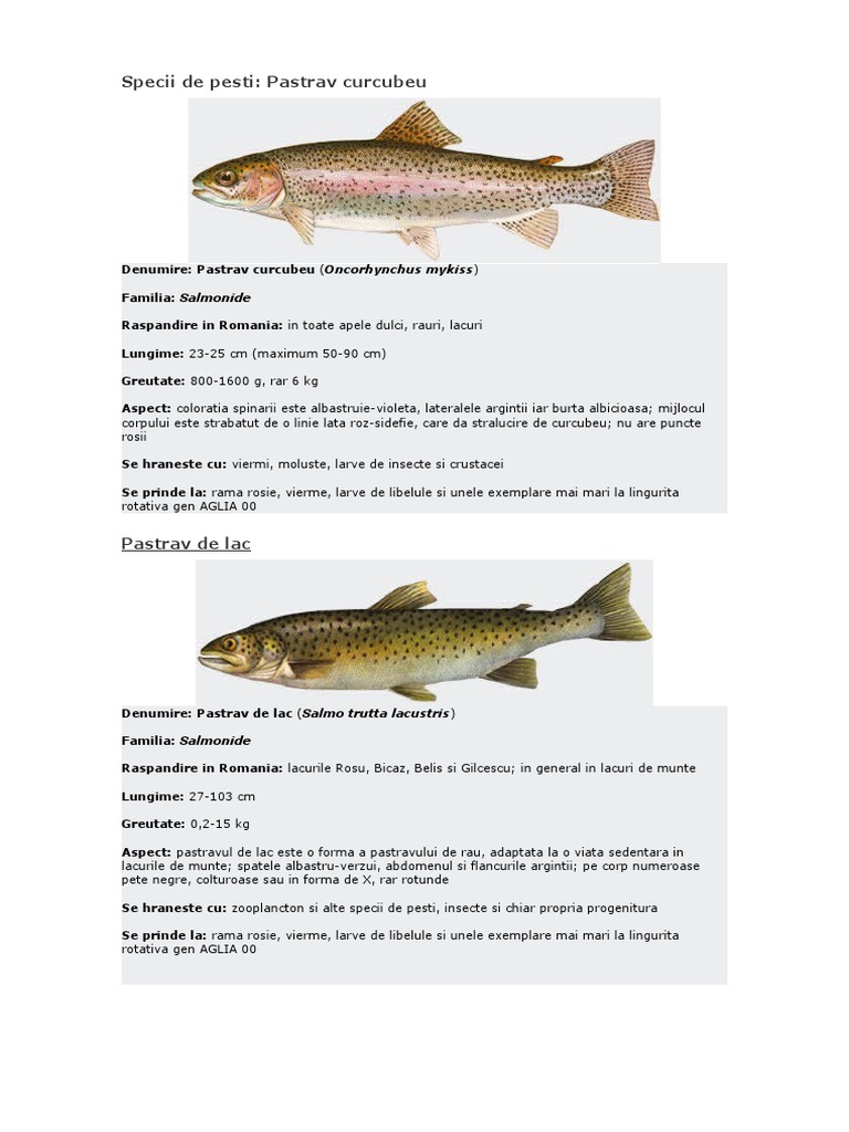 Specii de Pesti | PDF