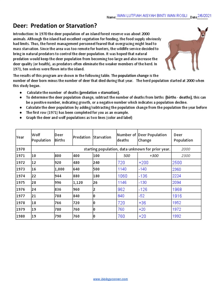Deer Predation or Starvation With Answer PDF Predation Deer