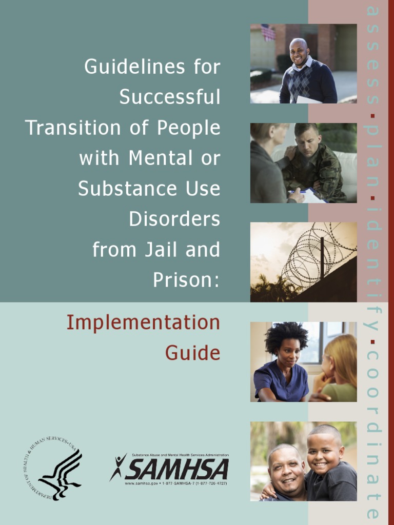 Reentry Success Pdf Mental Health Mental Disorder