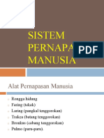 Sistem Pernafasan Manusia