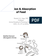 Digestion & Absorption of Feed