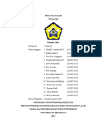 Makalah Biodas Kel.4 (Evolusi) - 1