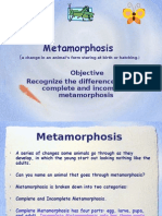 Metamorphosis