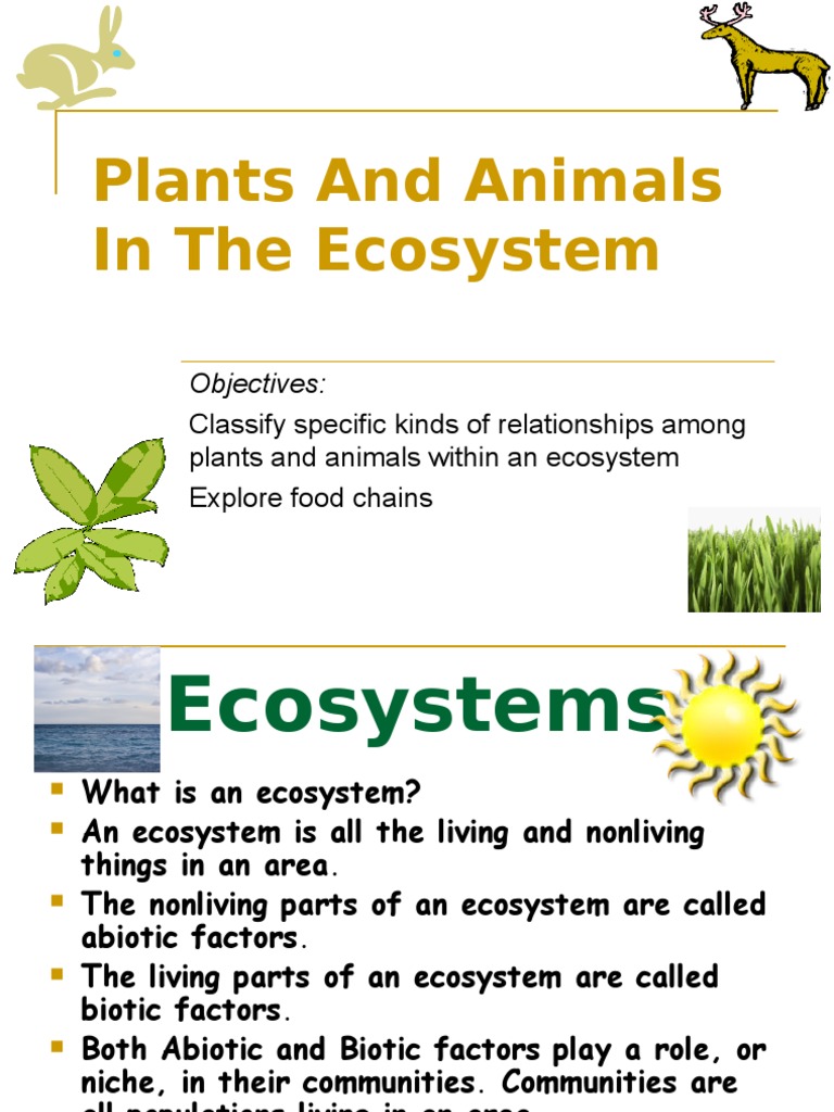 Plants And Animals In The Ecosystem