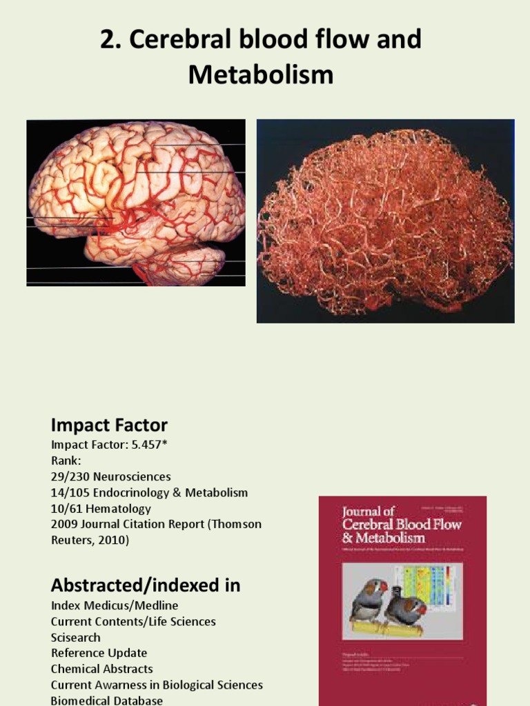 Cerebral blood flow and metabolism modeling/TITLE | PDF | Fluid ...