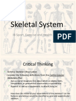 Skeletal System: IB Sport, Exercise and Health Science