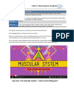 Unit 4 Movement Analysis