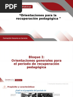 Orientaciones para La Recuperacion Pedagogica
