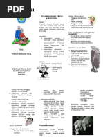 LP Anak Hisprung | PDF