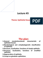 Lecture #3: Theme: Epithelial Tissues