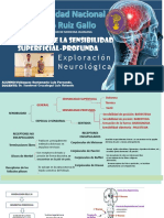 Semana 1 - Exploracion de La Sensibilidad - Velasquez Santamaria Luis Fernando