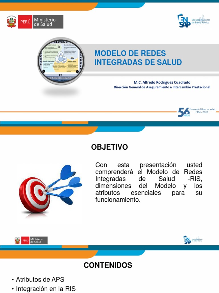 Modelo de Redes Integradas en Salud | PDF