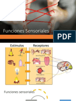 25° Funciones Sensoriales, Biofísica Sensorial, Cadena de Transmisión Sensorial