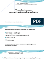 7 Prelegere Tumori Odontogene Mezinchimatoase 1