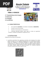 t4_Hongos