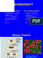 Asexual vs Sexual Repro