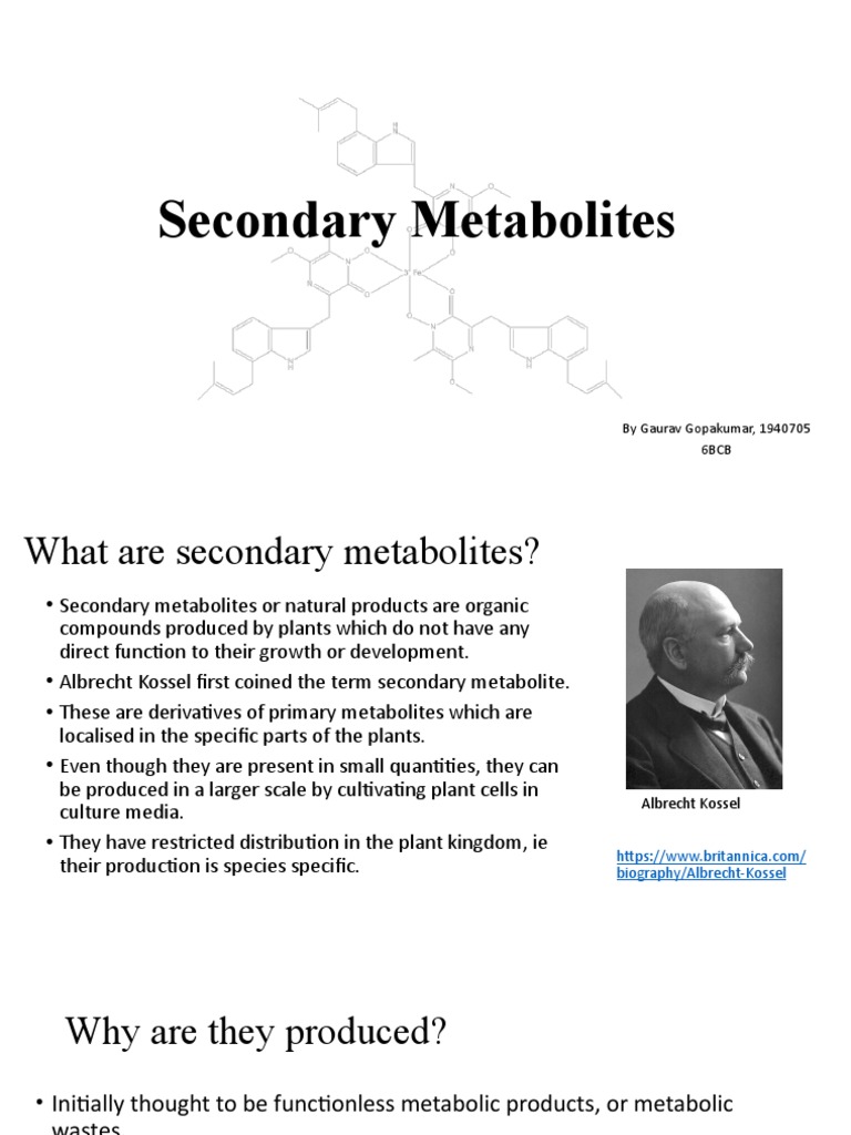 Secondary Metabolites in Plants | PDF | Metabolism | Chemistry