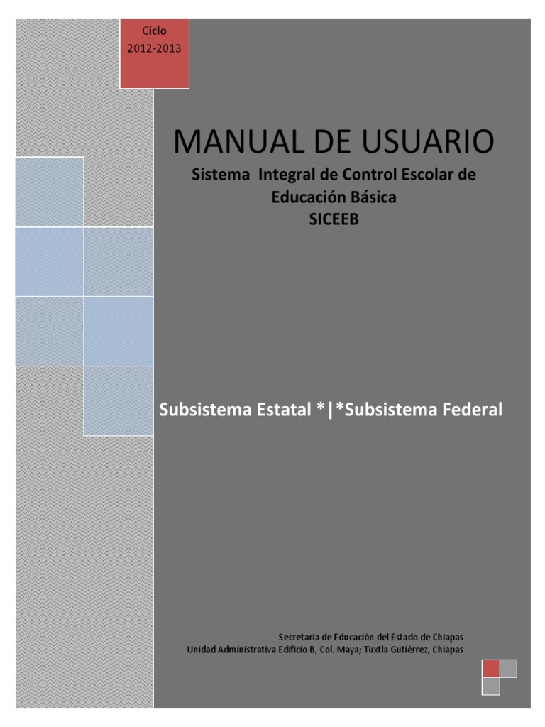 Manual Saech | PDF | Contraseña | Educación primaria