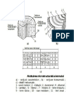 Structura Micro