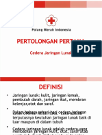 PDF 6cedera Jaringan Lunak DL