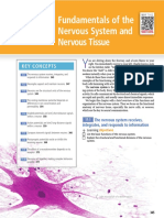 Fundamentals of Nervous System and Nervous Tissue