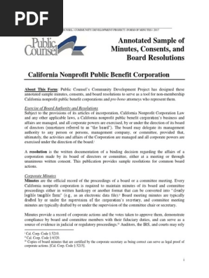 Annotated Sample of Minutes, Consents, and Board Resolutions