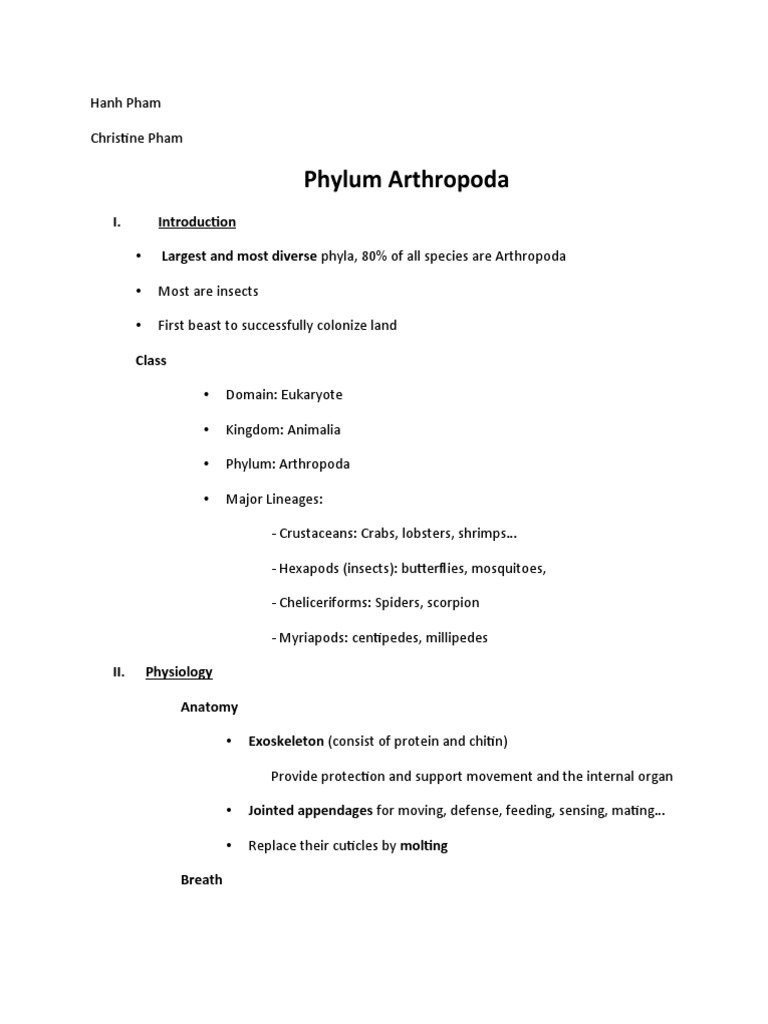 Overview of Phylum Arthropoda | PDF | Insects | Zoology