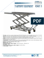 Data Sheet CAE 3