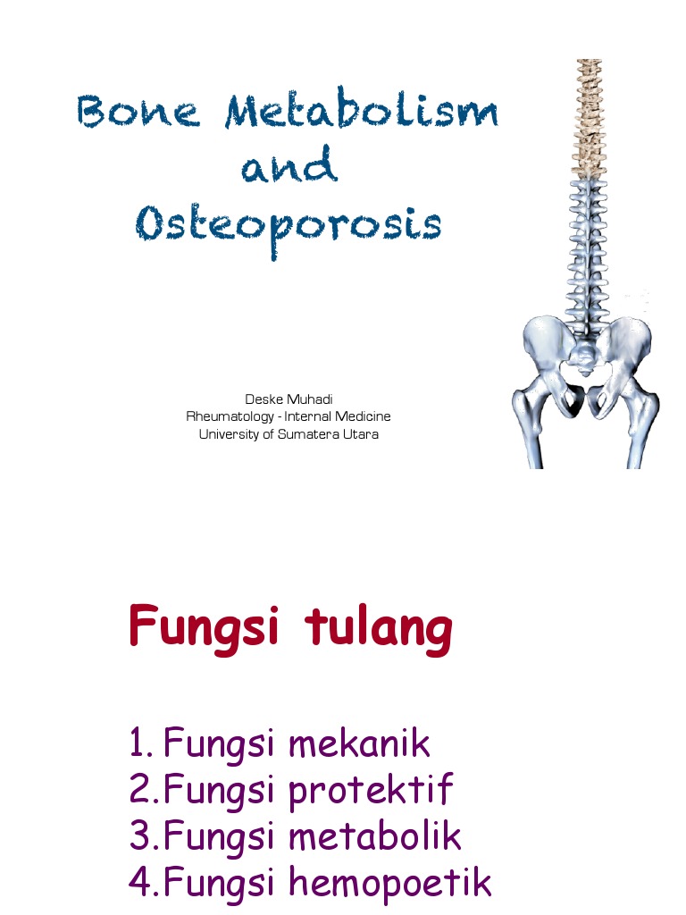 Bone Metabolism and Osteoporosis Overview | PDF | Bone | Osteoblast