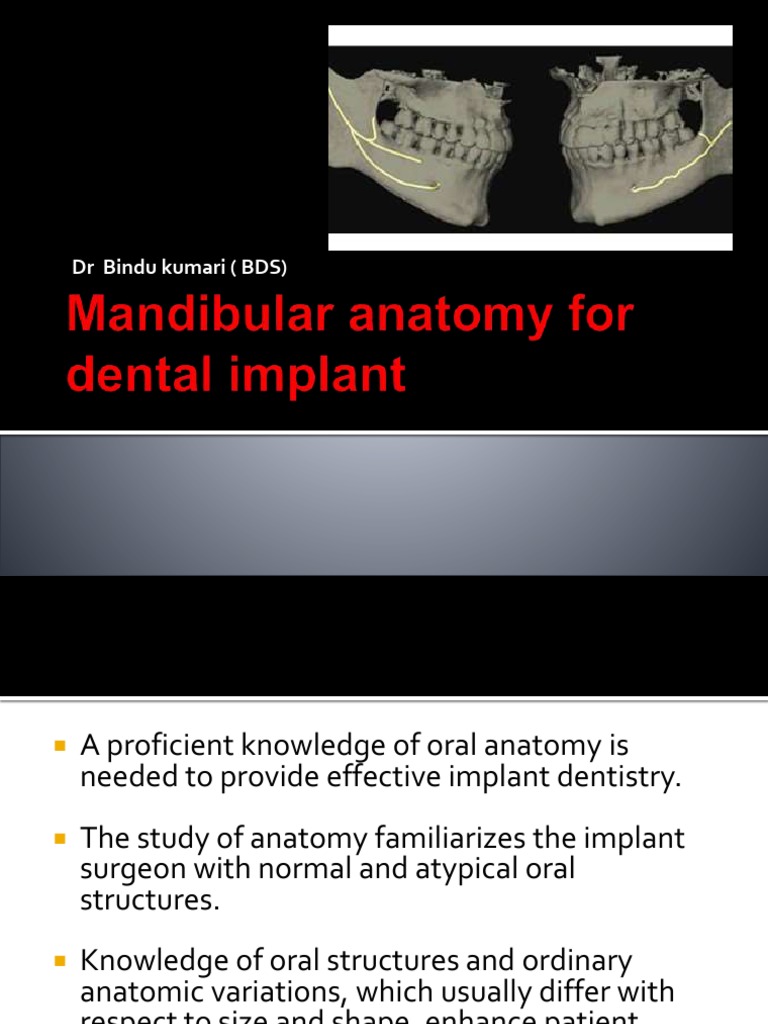 Mandibular Anatomy PDF Tongue Anatomy