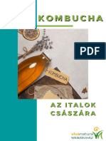 Kombucha-Book 2.0