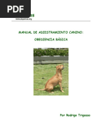 Manual de Adiestramiento Canino: Obediencia Básica
