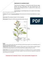 Morphology of Flowering Plants