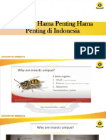 1. Serangga Hama Penting Hama Penting Di Indonesia