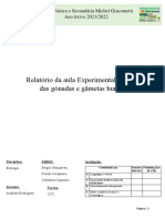 Relatório da aula Experimental. Estrutura das gónadas e gâmetas humanos I Sérgio Tomás Valentim (final) pdf
