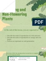 LESSON 5 - Flowering and Non-Flowering Plants