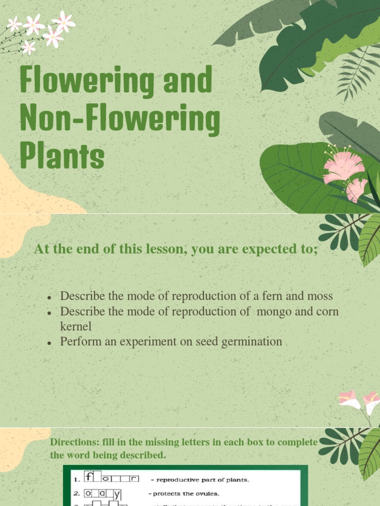 LESSON 5 Flowering and NonFlowering Plants PDF Seed Germination