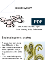 Skeletal System: BY: Chris Spurrier, Kyle Sam Moutry, Kaija Schmauss