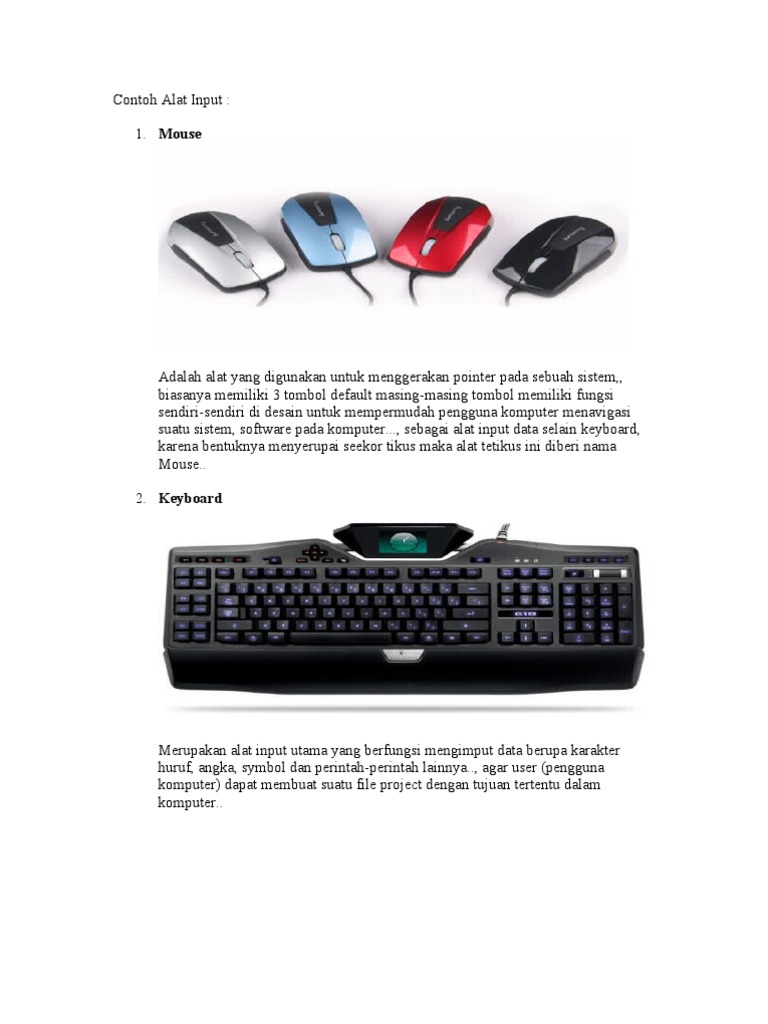 Contoh Alat Input PDF