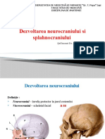 Curs 2 - Dezvoltarea Neurocraniului