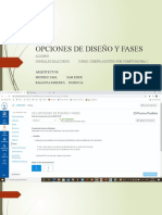 OPCIONES DE DISEÑO Y FASES (1)