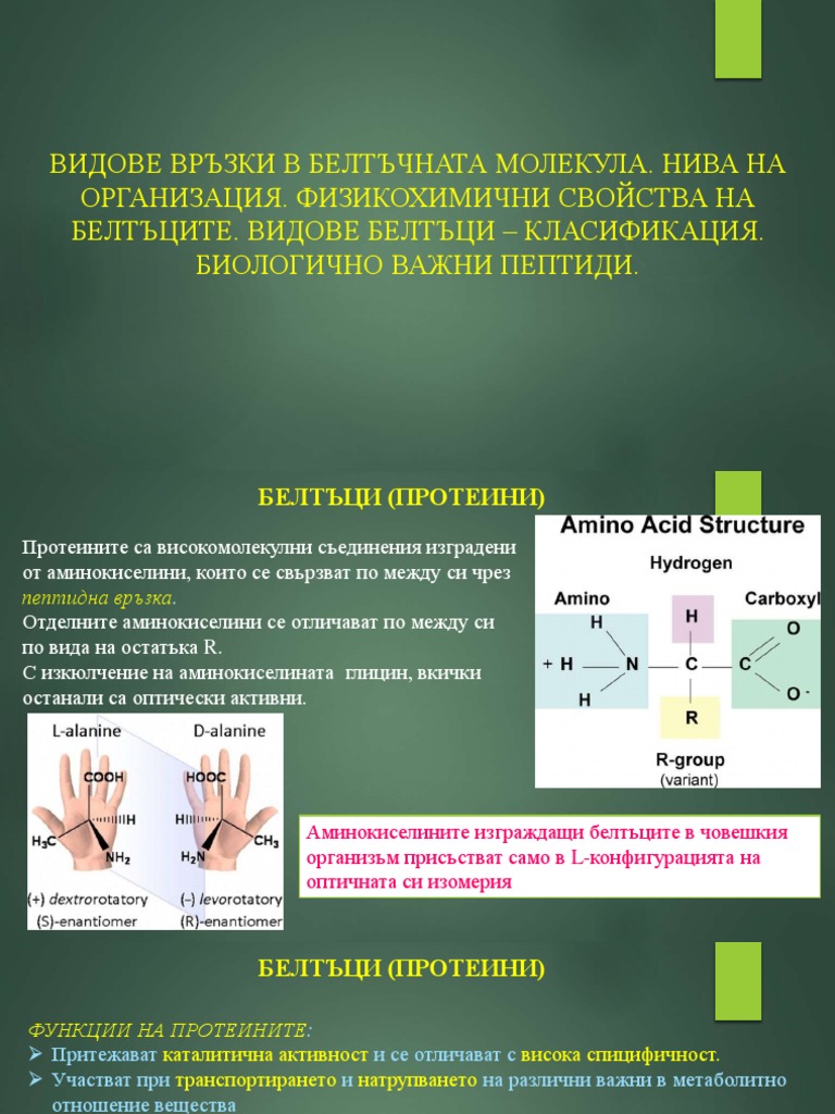 1. Белтъци | PDF