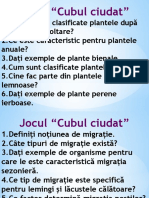 Viață Activă Și Hibernare